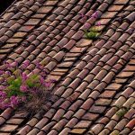 démoussage de toiture à Agen