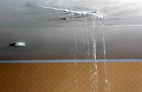 infiltrations d'eaux sur le toit